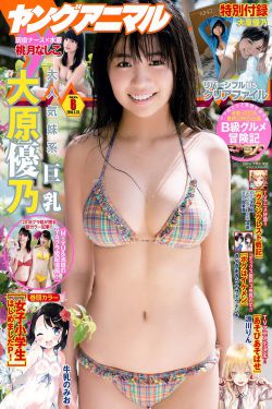 寡妇女教师bd高清在线观看